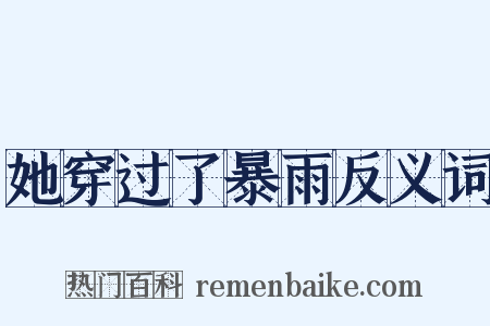 她穿过了暴雨反义词是什么意思的图片